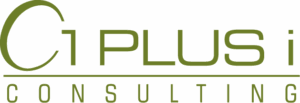 1 plus i Consulting